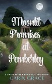 Moonlit Promises at Pemberley: A Sweet Pride & Prejudice Variation (eBook, ePUB)