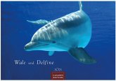 Wale und Delfine 2025 L 35x50cm