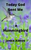 Today God Sent Me a Hummingbird (Devotionals, #13) (eBook, ePUB) Today God Sent Me a Hummingbird (Devotionals, #13) (eBook, ePUB)