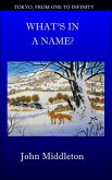 What's in a Name? (Tokyo, From One to Infinity, #3) (eBook, ePUB)