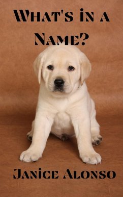 What's in a Name? (Devotionals, #61) (eBook, ePUB) - Alonso, Janice