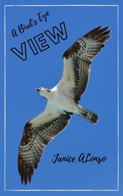 A Bird's-Eye View (Devotionals, #33) (eBook, ePUB) - Alonso, Janice