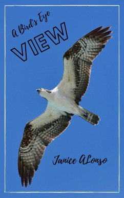Cover A Bird's-Eye View (Devotionals, #33) (eBook, ePUB)