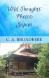 Wild Thoughts Photos: Japan (eBook,... - Bild 1