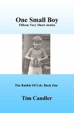 One Small Boy (eBook, ePUB)