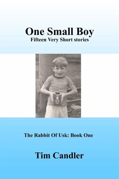 Cover One Small Boy (eBook, ePUB)