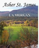 Asher St. James (eBook, ePUB)
