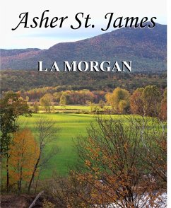 Asher St. James (eBook, ePUB) - Morgan, L A