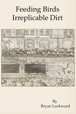 Feeding Birds Irreplicable Dirt (eBook, ePUB) - Lockward, Bryan