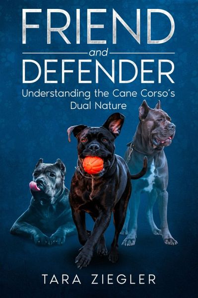 Friend and Defender (eBook, ePUB)