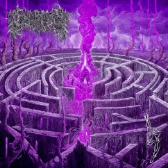 Maze Envy (Purple/Magenta Merge Vinyl) - Civerous