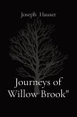 Journeys of Willow Brook"