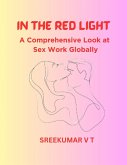 In the Red Light: A Comprehensive Look at Sex Work Globally (eBook, ePUB)