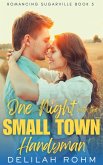 One Night With the Small Town Handyman (Romancing Sugarville, #5) (eBook, ePUB)