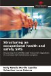 Structuring an occupational health and... - Bild 1