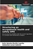 Structuring an occupational health and safety SMS