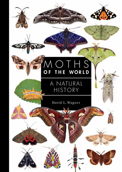Moths of the World Moths of the World