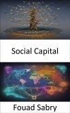 Social Capital (eBook, ePUB)