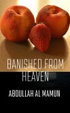 Banished from heaven (eBook, ePUB)