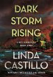 Dark Storm Rising (eBook, ePUB) - Bild 1