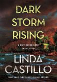 Dark Storm Rising (eBook, ePUB)