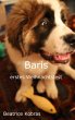 Baris erstes Weihnachtsfest (eBook,... - Bild 1