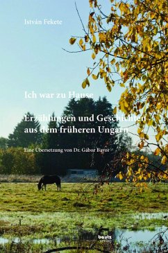Cover István Fekete - Ich war zu Hause (eBook, PDF)