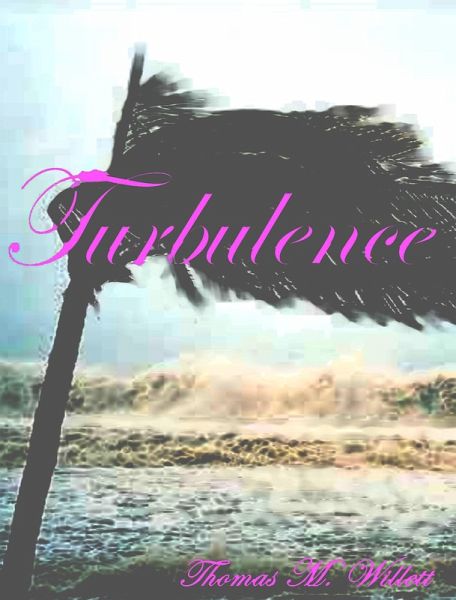 Turbulence (eBook, ePUB)