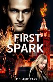 First Spark (Wall of Fire, #4) (eBook, ePUB)