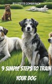 9 Simple Steps to Train Your Dog (eBook, ePUB)