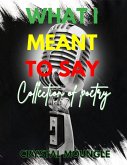 What I Meant to Say (eBook, ePUB)
