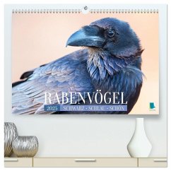 Rabenvögel: Schwarz, schlau, schön (hochwertiger Premium Wandkalender 2025 DIN A2 quer), Kunstdruck in Hochglanz - Calvendo