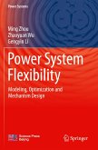 Power System Flexibility