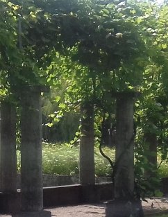 Cover ebook test (eBook, ePUB)