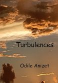 Turbulences (eBook, ePUB)