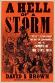 A Hell of a Storm (eBook, ePUB)