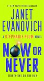 Now or Never (eBook, ePUB)