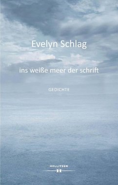 ins weiße meer der schrift (eBook, ePUB) - Schlag, Evelyn