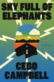 Sky Full of Elephants (eBook, ePUB)