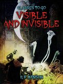 Visible And Invisible (eBook, ePUB)
