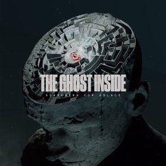 Searching For Solace - Ghost Inside,The