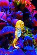 Boy Gives Birth (eBook, ePUB) - Bild 1