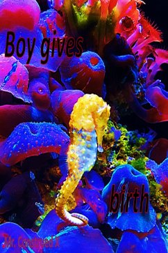 Boy Gives Birth (eBook, ePUB) - Construed, Mister