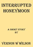 Interrupted Honeymoon (eBook, ePUB)