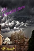 Life; A Beautiful Storm (eBook, ePUB)