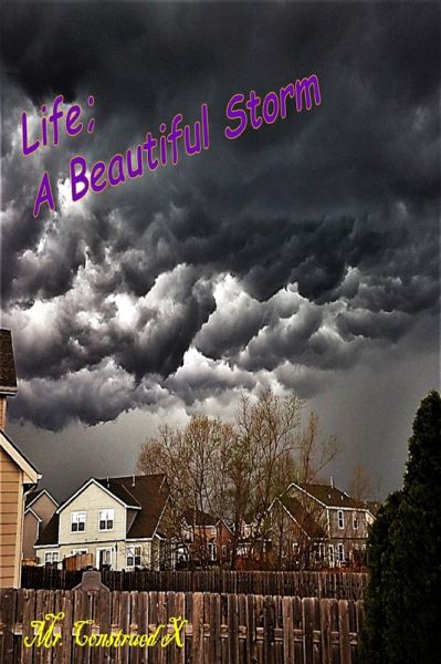 Life; A Beautiful Storm (eBook, ePUB)