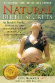 Natural Birth Secrets: An Insider's Guide on How to Give Birth Holistically, Healthfully, and Safely, and Love the Experience! (Second Edition) (eBook, ePUB)
