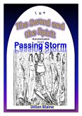 Passing Storm (The Sword and the Spirit Adventures, #2) (eBook, ePUB)