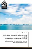 Calcul de l'onde de submerssion en aval en cas de rupture d'un barrage