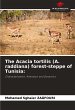 The Acacia tortilis (A. raddiana)... - Bild 1